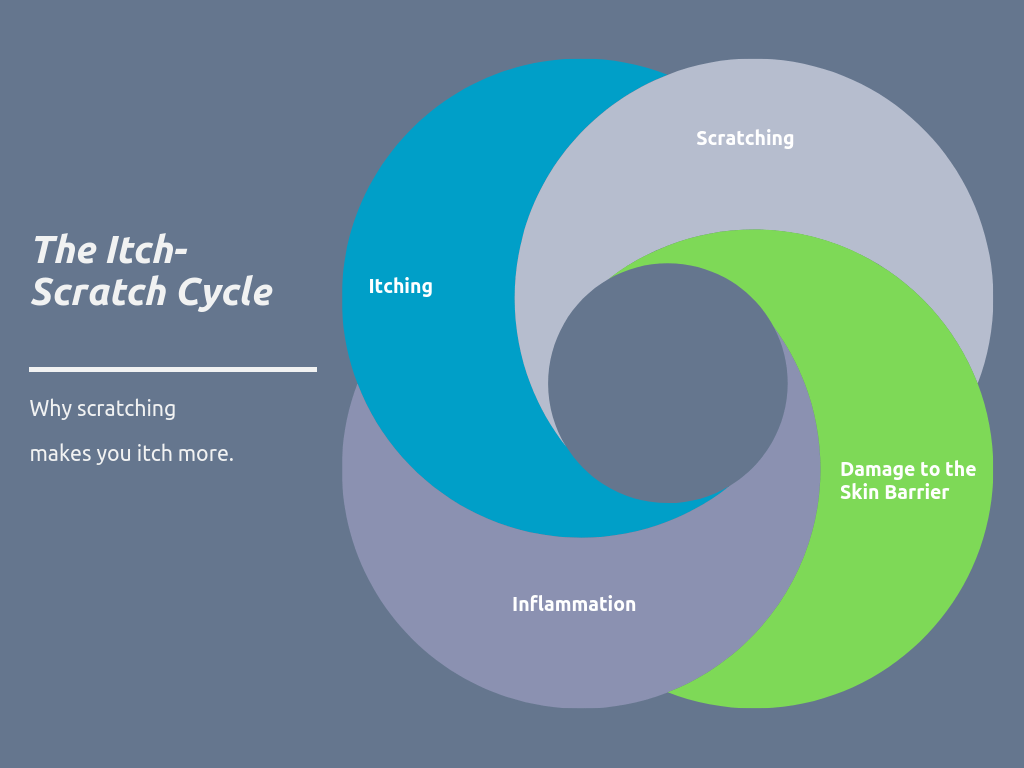 Itch-Scratch-Itch Cycle diagram