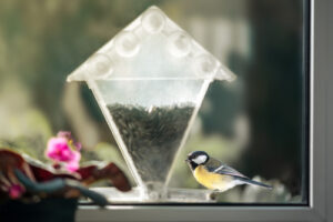 Bird Feeder