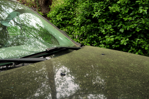 Pollen building up on a car